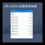 fx自動売買チャレンジ+57974円