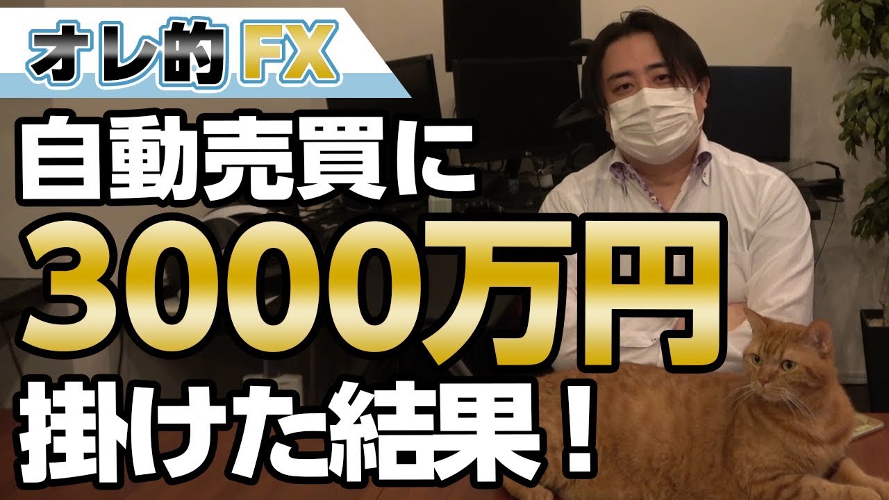 FX、自動売買に3000万円掛けた結果、エライ事になった！