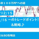 【FXスイングトレード必勝戦略12/15】FX収益月収100万円への道