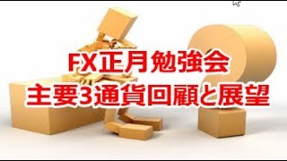 FX正月勉強会　主要3通貨の回顧と展望