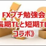 FXプチ勉強会《長期TLと短期TLのコラボ》