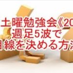 FX土曜勉強会《205》週足5波で目線を決める方法