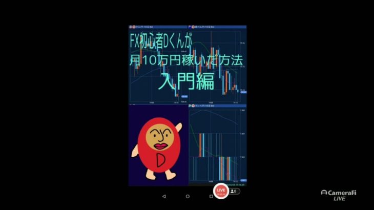 FX初心者Dくんが月10万円稼いだ方法　入門編