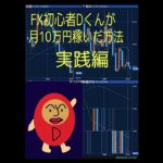 FX初心者Dくんが月10万円稼いだ方法　実践編