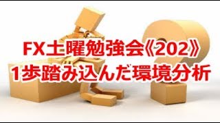 FX土曜勉強会《202》1歩踏み込んだ環境分析！