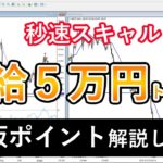 秒速スキャルＦＸ・リアルトレード実況41「５万円獲得・日足サポレジラインのトレード全手順」