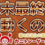 【月末最終日！動くのか！？】2019/11/29（金）FX実況ライブ生配信カニトレーダーが行く! 生放送487回目🎤★☆★現在収支+10,106,290円★☆