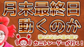 【月末最終日！動くのか！？】2019/11/29（金）FX実況ライブ生配信カニトレーダーが行く! 生放送487回目🎤★☆★現在収支+10,106,290円★☆