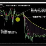 シークレットセオリー・フルオートEA（奥谷隆一FX商材）トレードロジックのチャート過去検証