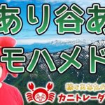 【山あり谷ありモハメド…】2020/3/4（水）FX実況ライブ生配信カニトレーダーが行く! 生放送555回目🎤★☆★現在収支+2,046,498円★☆