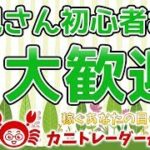 【初見さん・初心者さん大歓迎】2019/10/8（火）FX実況ライブ生配信カニトレーダーが行く! 生放送448回目🎤★☆★現在収支+8,182,675円★☆