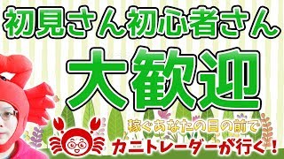 【初見さん・初心者さん大歓迎】2019/10/8（火）FX実況ライブ生配信カニトレーダーが行く! 生放送448回目🎤★☆★現在収支+8,182,675円★☆