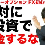 【FX,バイナリーオプション初心者に告ぐ】絶対に投資で借金するな！【はたけの副業教室】