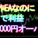 自作、FX自動売買システム！100万でのEA運用成績の結果が半端ない！？