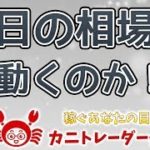 【今日は動きが出るか！？】2019/11/12（火）FX実況ライブ生配信カニトレーダーが行く! 生放送474回目🎤★☆★現在収支+10,128,162円★☆