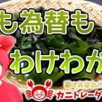 【株も為替もわけわかめ】2020/2/27（木）FX実況ライブ生配信カニトレーダーが行く! 生放送551回目🎤★☆★現在収支+9,736,915円★☆