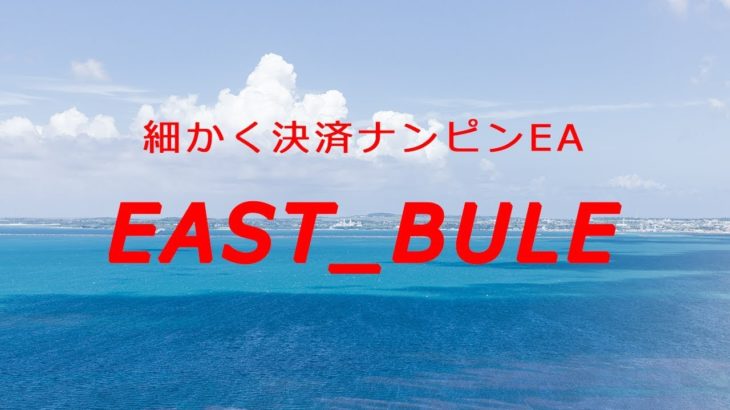 FXシステムトレード・細かく決済ナンピンEA『EAST_BULE』