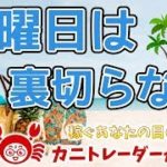 【月曜日は裏切らない…ハズ】2019/7/29（月）FX実況ライブ生配信カニトレーダーが行く! 生放送395回目🎤★☆★現在収支+7,055,637円★☆