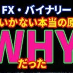 【FX・バイナリー】うまくいかない本当の原因は「WHY」だった!?#38