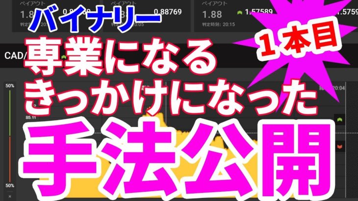 バイナリー手法公開①専業になるきっかけとなった方法#8