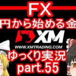 【ゆっくり実況】FX XM 1万円から始める金儲け/2019年最後のトレード納め！【その55】