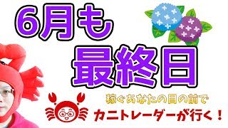 【6月も最終日】2019/6/28（金）FX実況ライブ生配信カニトレーダーが行く! 生放送373回目🎤★☆★現在収支+6,490,382円★☆