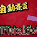 【FX自動売買】ドル円がめちゃくちゃ上がった結果EAは…