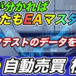 【FX検証】自動売買のバックテストを解説!!EAを始める前に知っておくべき基礎知識