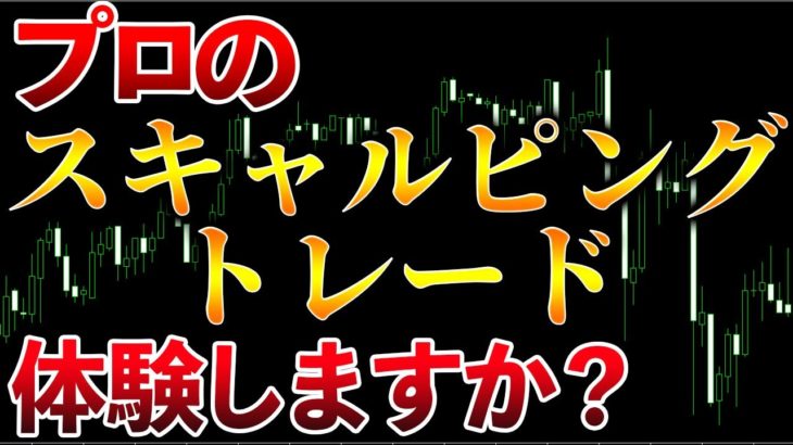 【世界仰天】プロのスキャルピングトレード体験しますか？　FX　バイナリー