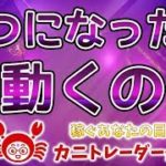 【いつになったら動くのか】2019/11/27（水）FX実況ライブ生配信カニトレーダーが行く! 生放送485回目🎤★☆★現在収支+10,003,810円★☆