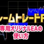 フレームトレードFX専用特典EA　Frame_Trade_EAの使い方