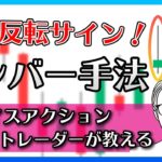 ピンバー手法！FX・バイナリーにも使えるプライスアクション徹底講座！