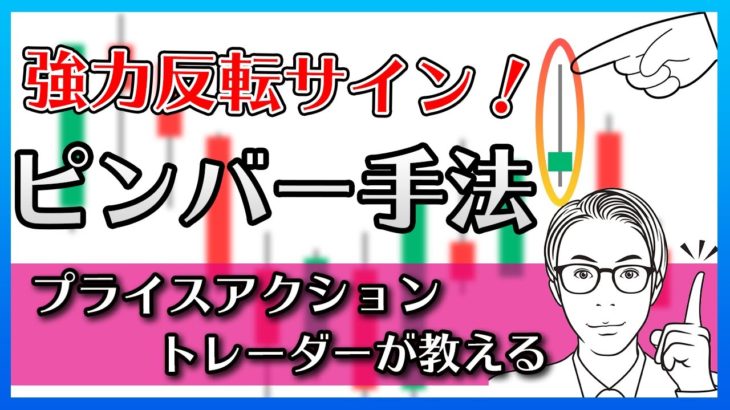 ピンバー手法！FX・バイナリーにも使えるプライスアクション徹底講座！