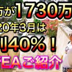 100万が1730万に！2020年3月は月利40%を記録！最新EAのご紹介【システムG】