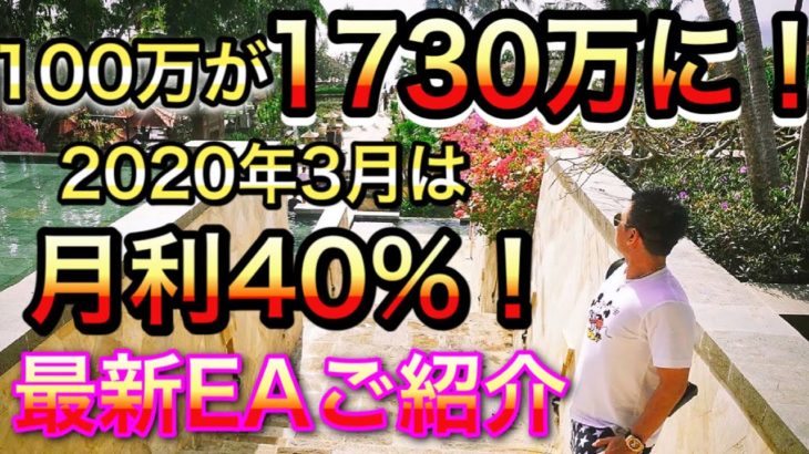 100万が1730万に！2020年3月は月利40%を記録！最新EAのご紹介【システムG】