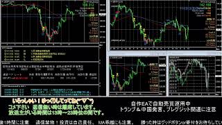 【FX】🍵自動売買で楽々稼ごうMT4サイン🍵【EA】2020/0107