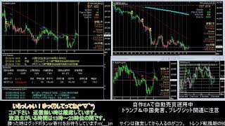 【FX】🍵MT4システムトレードと自動売買🍵【EA】2020/0304