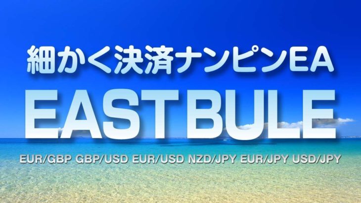 FXシステムトレード・細かく決済ナンピンEA『EAST_BULE』を検証