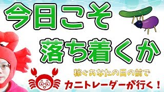 【今日こそ落ち着くか】2019/8/16（金）FX実況ライブ生配信カニトレーダーが行く! 生放送410回目🎤★☆★現在収支+7,493,259円★☆