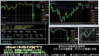 【FX】🍵自動売買で楽々稼ごうMT4サイン🍵【EA】2020/0213