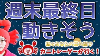 【週末金曜日、動きそう】2019/11/22（金）FX実況ライブ生配信カニトレーダーが行く! 生放送482回目🎤★☆★現在収支+9,979,940円★☆