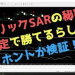 【#57世界の手法から】ラボリックSARの秘密の設定で勝てるらしいホントか検証！