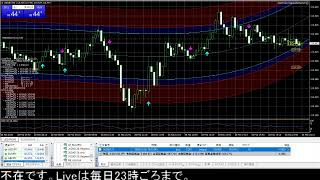 FX LIVE MT4  + 自作EA テスト配信　2020/02/26