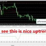 Exclusive Forex EA Robot | The Prime Scalping EA Robot | Rare Forex EA in Public, Limited-time Only