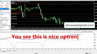 Exclusive Forex EA Robot | The Prime Scalping EA Robot | Rare Forex EA in Public, Limited-time Only