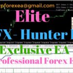 Free Forex EA Robot | XFX Hunter EA Robot | Elite Exclusive EA Only For You!