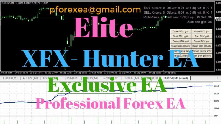 Free Forex EA Robot | XFX Hunter EA Robot | Elite Exclusive EA Only For You!