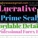 Lucrative Forex EA Robot | The Prime Scalping EA Robot | Affordable Detailed Professional Forex EA