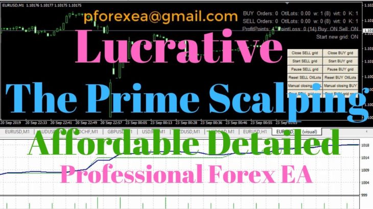 Lucrative Forex EA Robot | The Prime Scalping EA Robot | Affordable Detailed Professional Forex EA