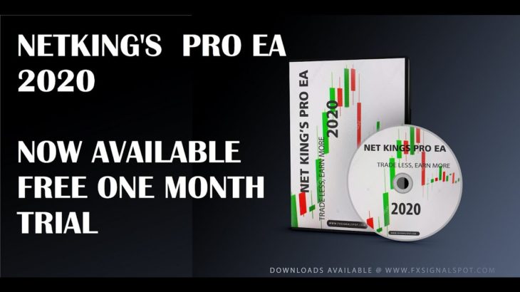 NETKING’S PRO FOREX EA 2020  //  GET FREE ONE MONTH TRAIL